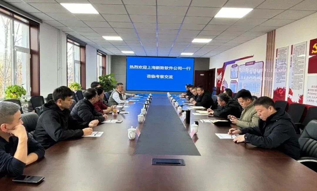 投促中心对接上海新致软件考察团一行